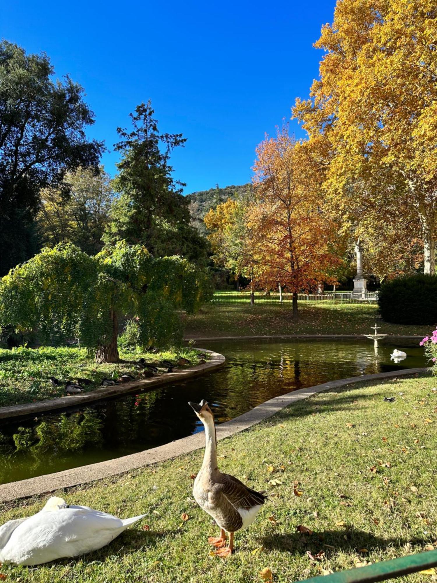 Le Perchoir Du Parc Coeur Historique Anduze 아파트 외부 사진